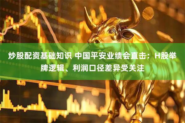 炒股配资基础知识 中国平安业绩会直击：H股举牌逻辑、利润口径差异受关注