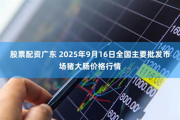 股票配资广东 2025年9月16日全国主要批发市场猪大肠价格行情